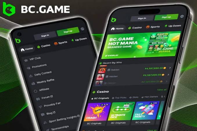 BC.Game Casino and Sportsbook A Comprehensive Review 945641239