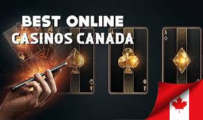 Best Live Casino Online Your Ultimate Guide